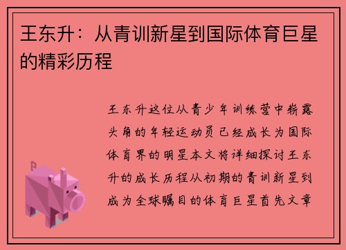 王东升：从青训新星到国际体育巨星的精彩历程